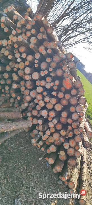 Stemple budowlane kołki do ogrodzeń tymczasowych Szczyty