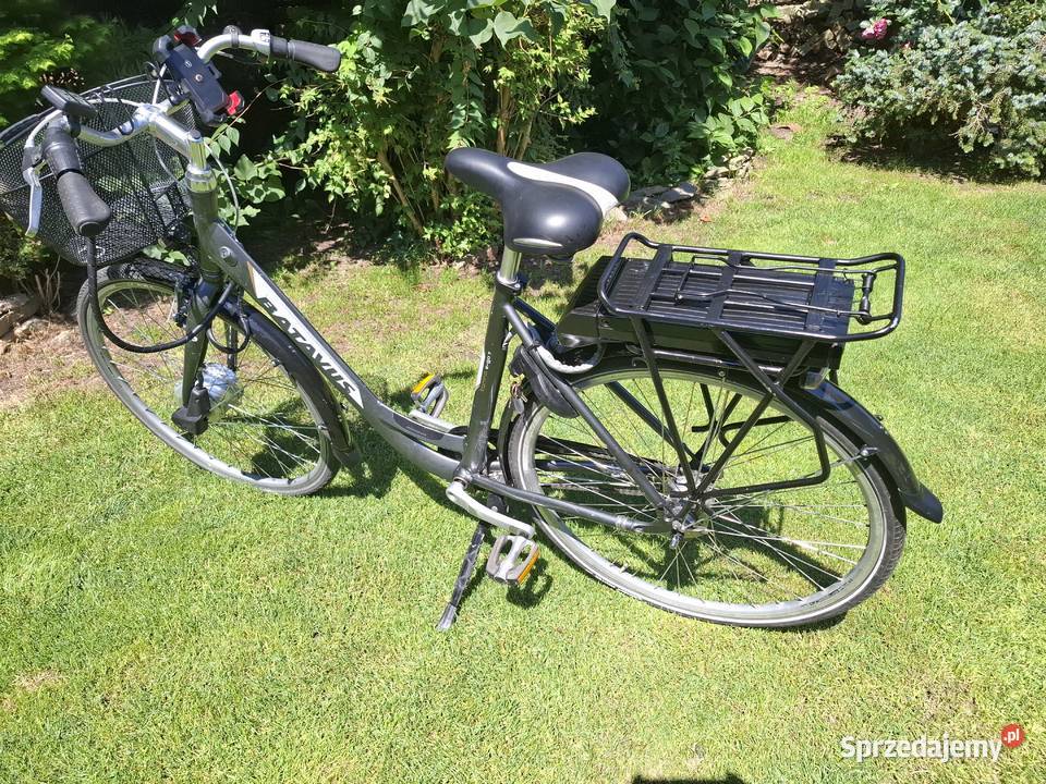 Rower elektryczny Batavus Torino Ego 28 8 biegów Chorągwica