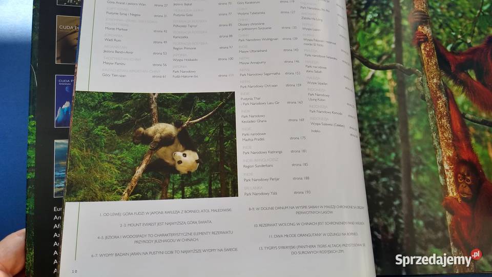 Cuda przyrody Azja Stefano Brambilla ARKADY 2009 Rok wydania 2009 Gdańsk