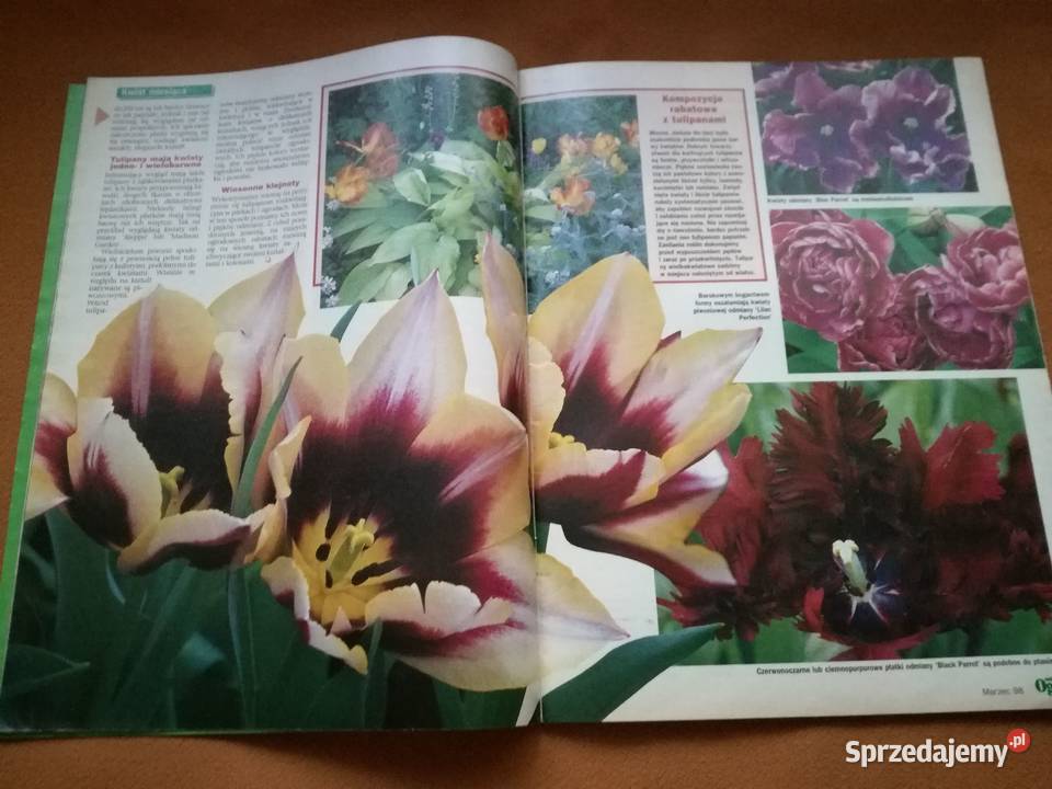 Mój piękny ogród czasopismopraktyczny magazyn Łódź