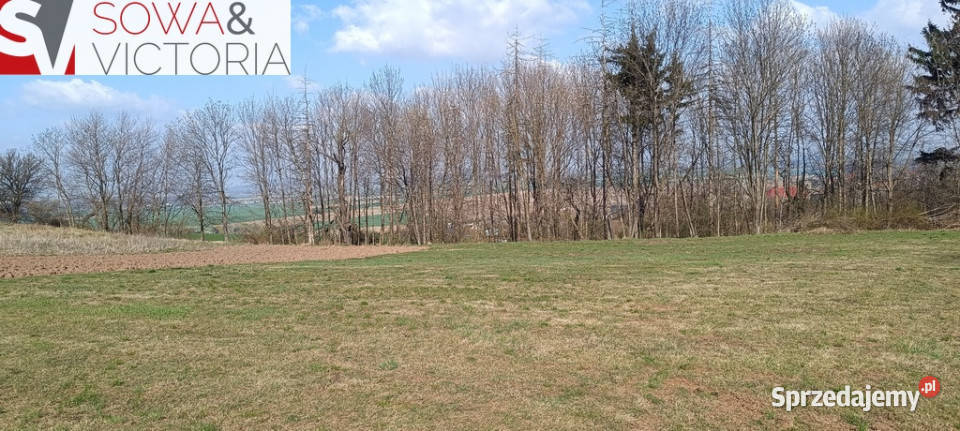 Piękna otoczona lasem działka w Dobromierzu dolnośląskie Dobromierz