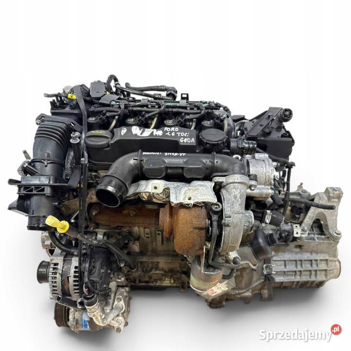 SILNIK G8DA Ford Focus II MK2 C C 16 TDCI 109 Chełm