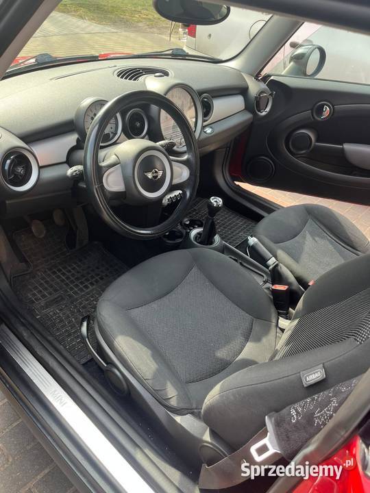 Sprzedam Mini wielkopolskie Turek