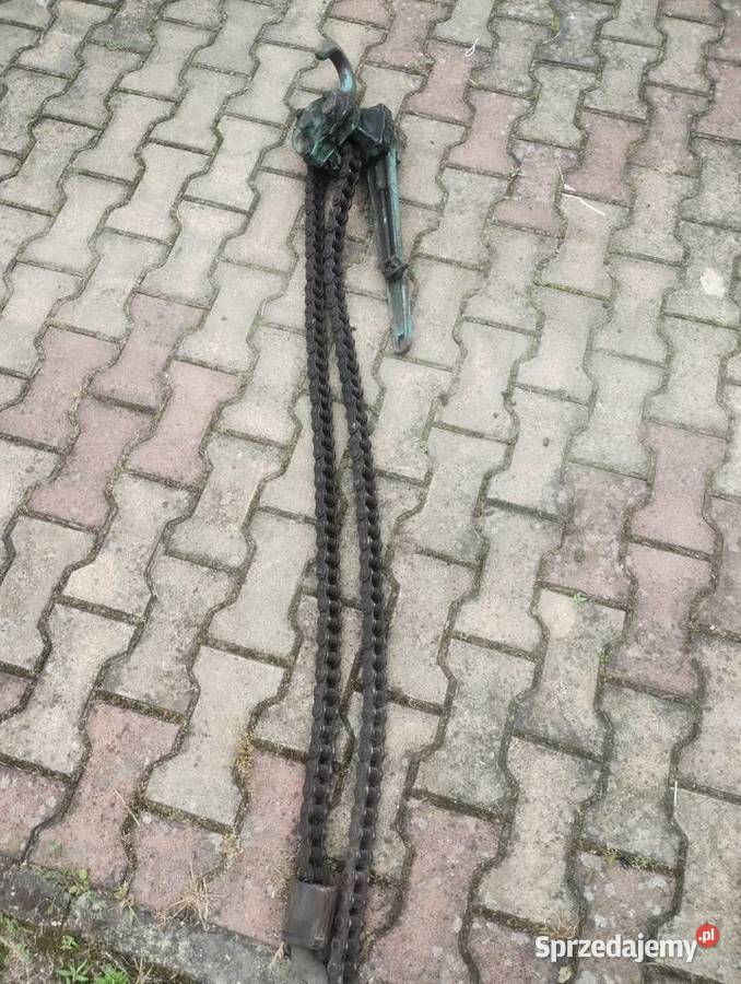 Lebiodka rukcug Pilchowice sprzedam