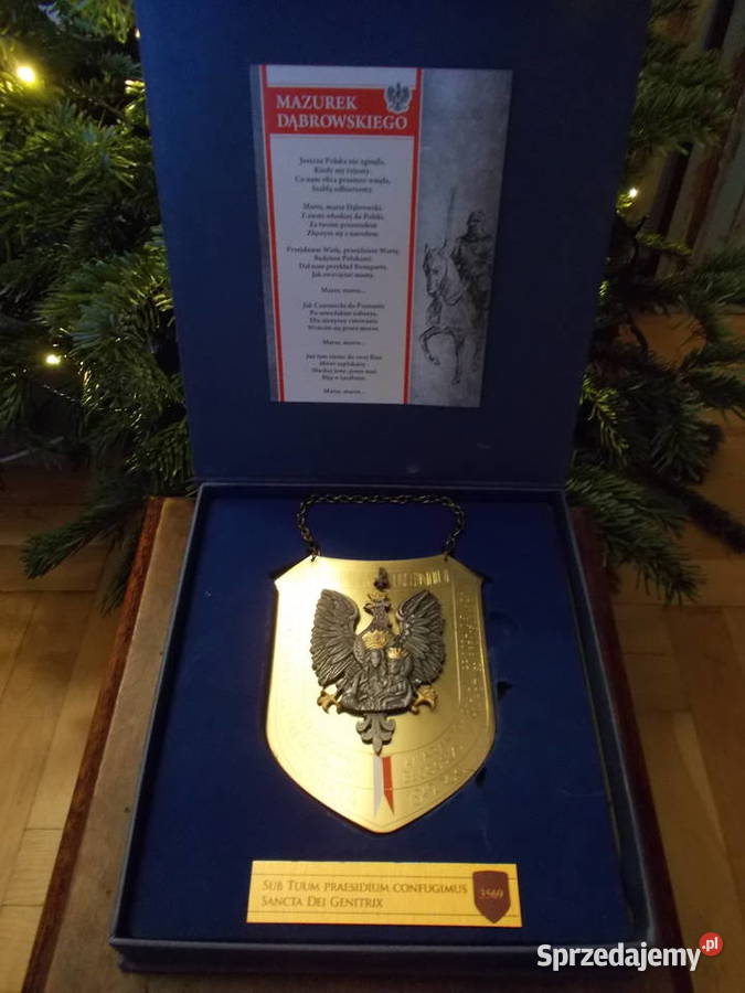 Ryngraf1szy Pułk Ułanów9 maja 1942Pod Twoją Szczecin