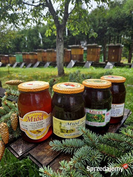 Miód leśny spadziowy z własnej pasieki sprzedam