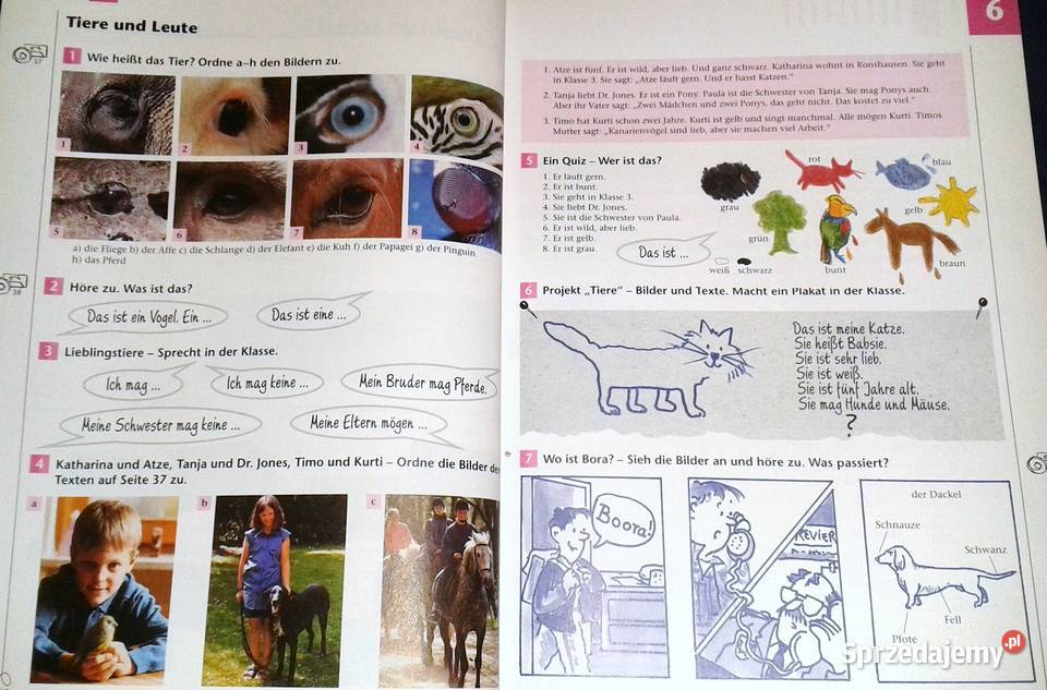 Genial A1 Podręcznik Język niemiecki młodzieży lubelskie Chełm sprzedam