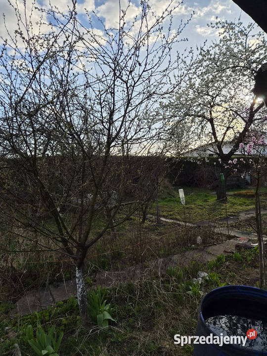 OGRÓDEK DZIAŁKOWY NA KLECINIE ROD PRZYJAŹŃ Wrocław