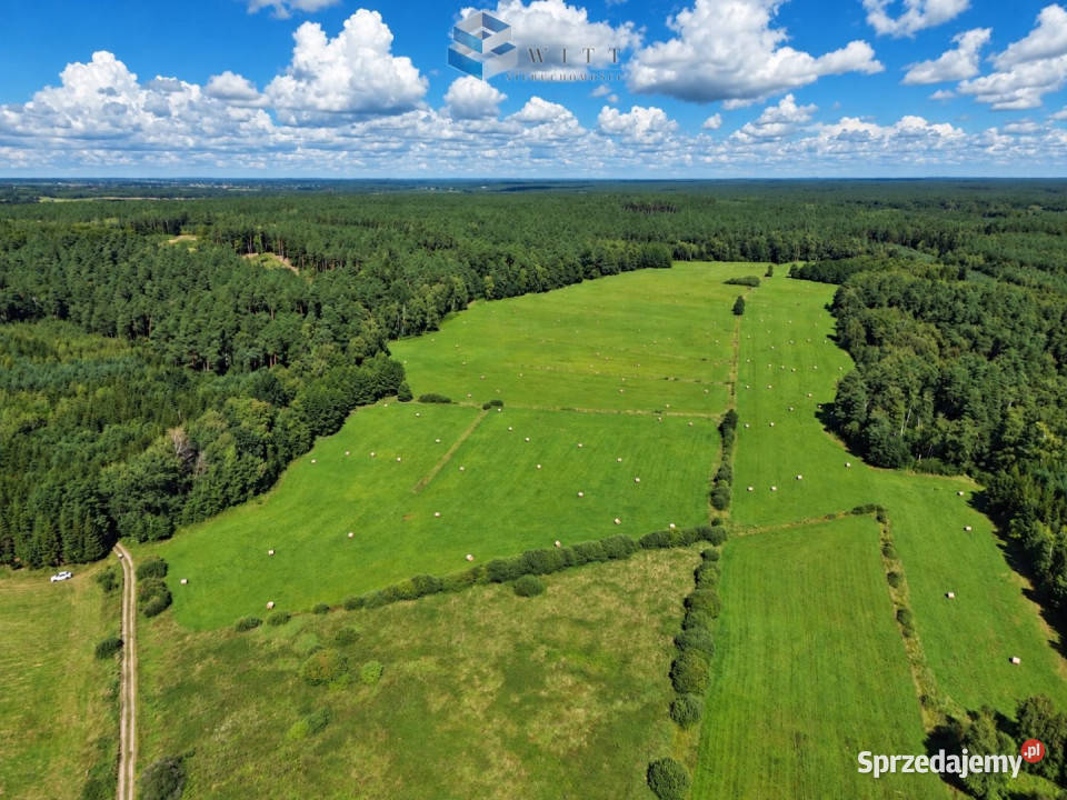 Działka Liwa 31400m2 rolna