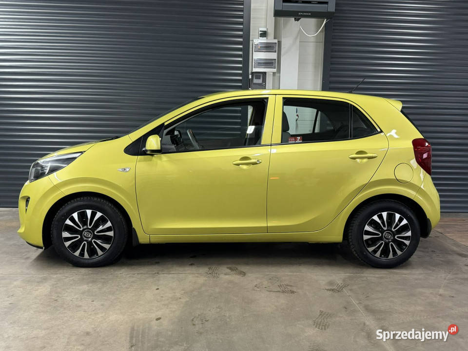 Kia Picanto Salon Cała w oryginale PERFEKT 1WŁ 4/5 Chechło