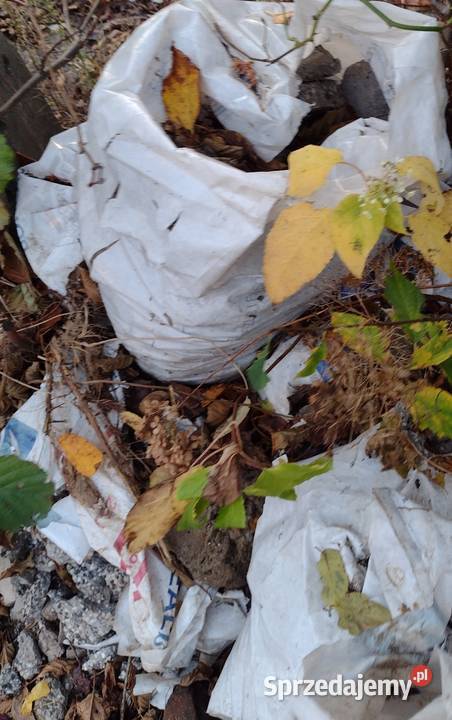 Oddam gruz drobny
Odbiór osobisty