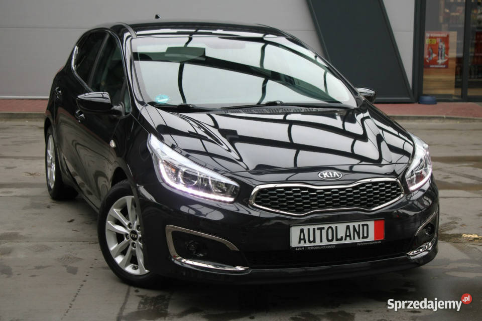 Kia Ceed Bezwypadkowy bogata wersja nieuszkodzony