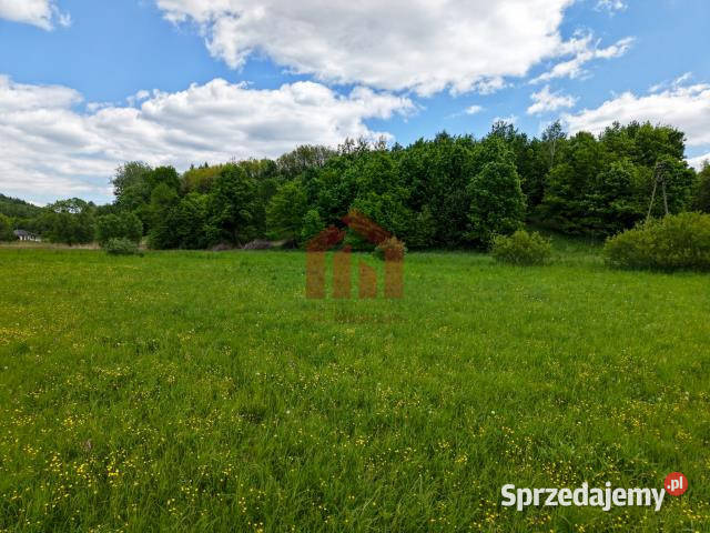 Działka 1000m2 Wielopole Skrzyńskie sprzedam