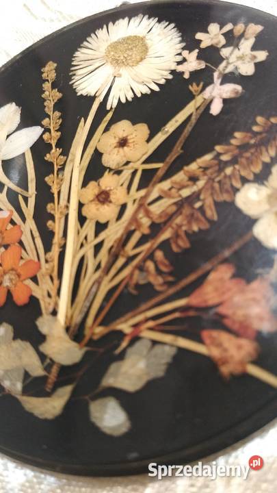 Obrazek z naturalnych kwiatków małopolskie Kraków