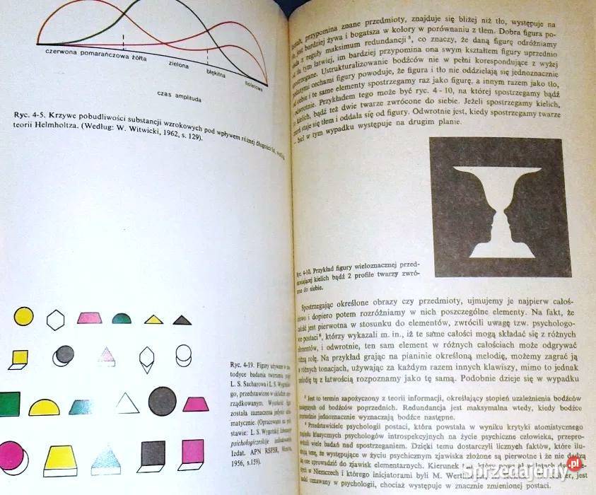 Podstawy psychologii nauczycieli J Strelau Chełm