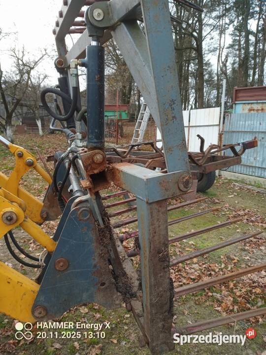 Widłokrokodyl Ostrzeszów