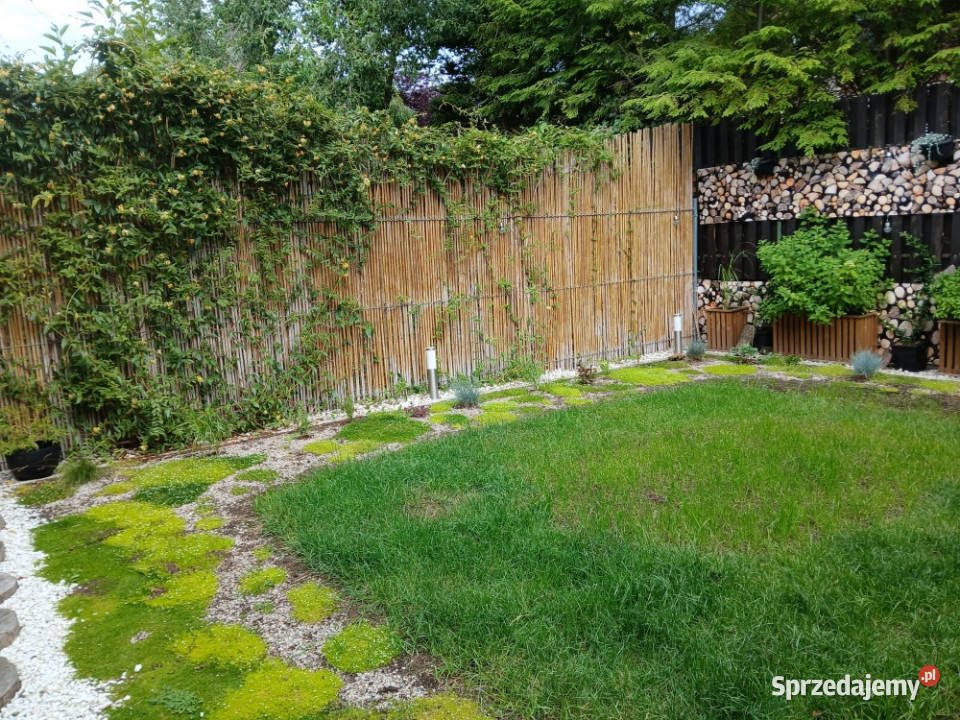 Fantastyczny segment z ogródkiem do zamieszkania Józefosław