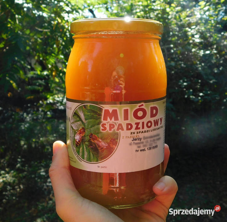Polski prawdziwy miód spadziowy liściasty 2024 Miody i produkty pszczele Kraków