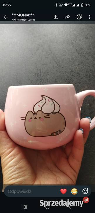 Kubek ceramiczny pusheen talerz miska śląskie Tarnowskie Góry