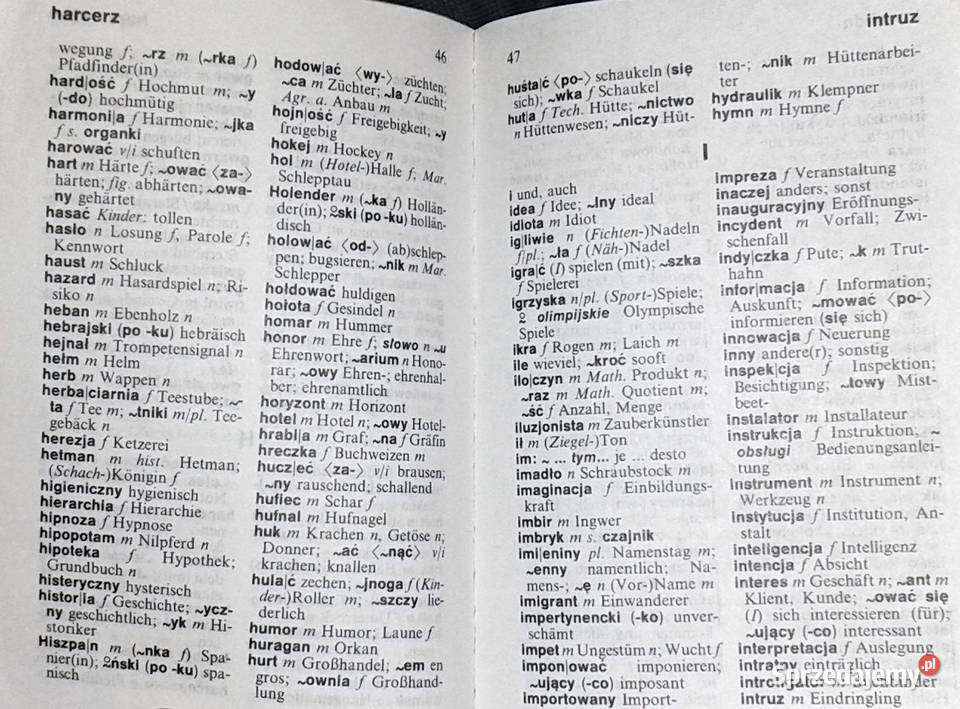 Słownik polskoniemiecki niemieckopolski Pozostałe Chełm sprzedam