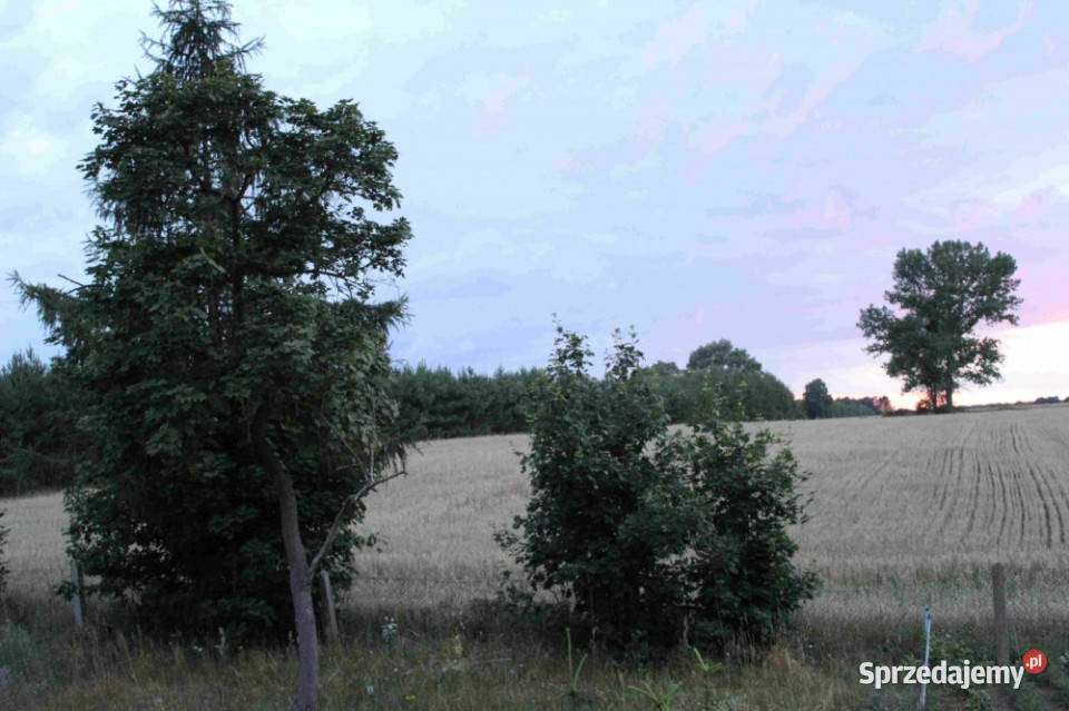 OKAZJA Lokal mieszkalny 268m 120m STRYCH Mazury