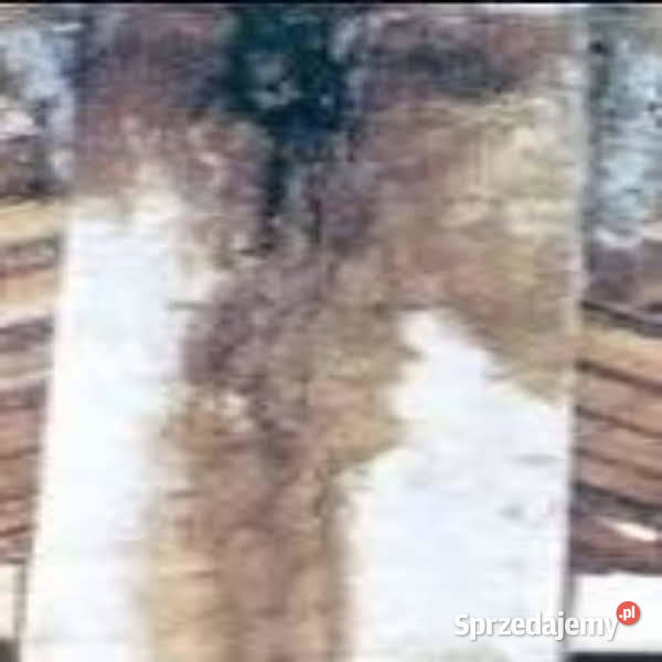 Frezowanie kominów montaż systemów wiercenie Lubin