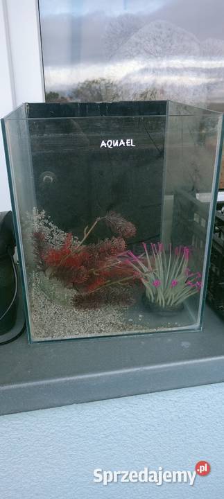 Akwarium AQUEL 25l sprzedam