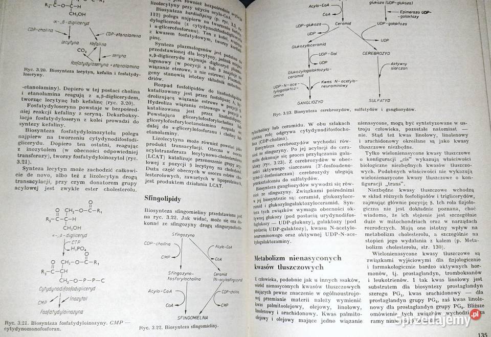 Nauka o chorobach wewnętrznych Tom 4 Witold lubelskie Chełm sprzedam