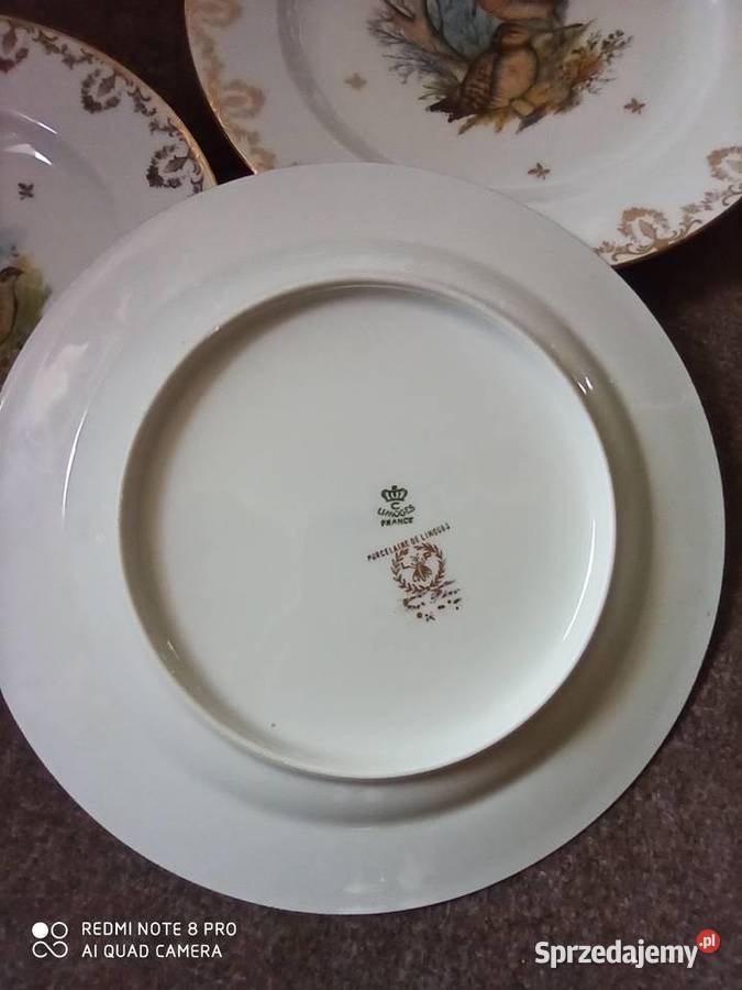 Serwis z ptakami Limoges Francja Gdańsk