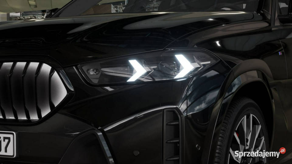 BMW X6 X6 xDrive30d Dostępne ręki G06 2019 Łódź