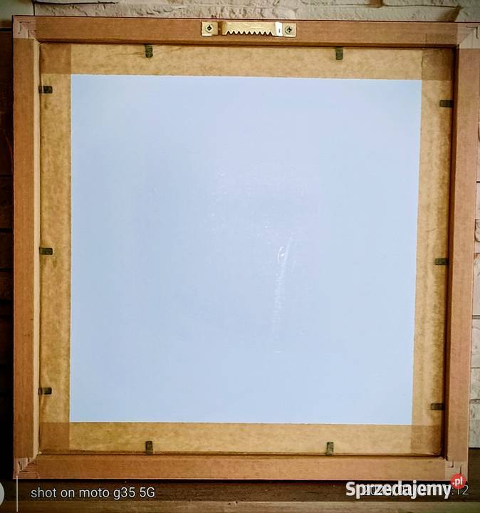 Czerwone maczki lubelskie Bychawka Trzecia