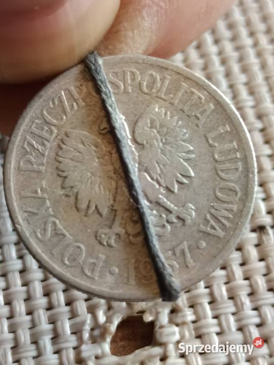 Sprzdammonete 50 groszy 1957 rokmala skretka Chełm sprzedam