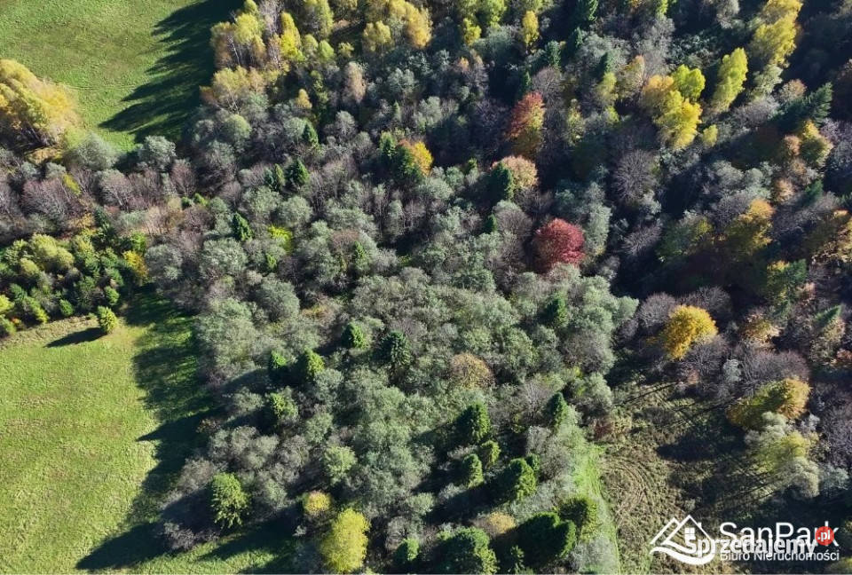 Grunt Krzywe 10100m2 podkarpackie