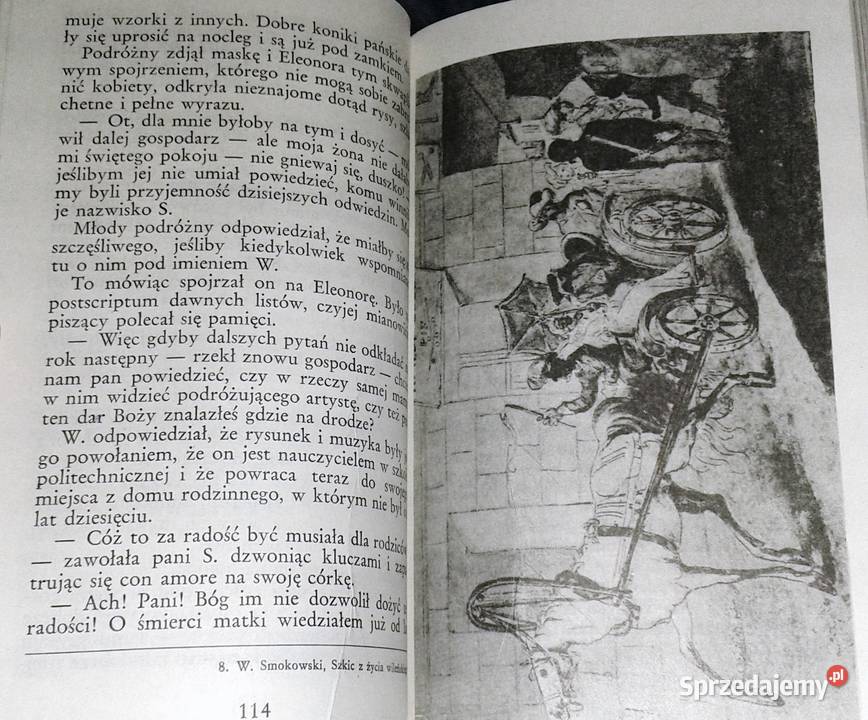 Doktor Panteusz w przemianach Placyd Jankowski