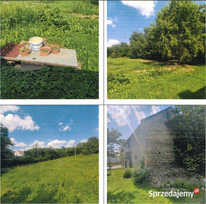 Syndyk sprzeda siedlisko dom i budynki Domy Pomianów Górny