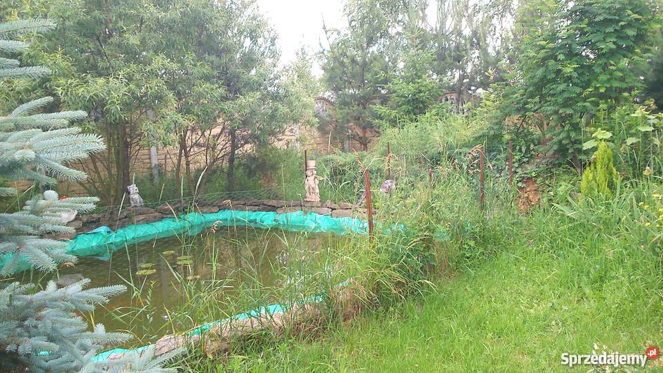 TANIO SPRZEDAM DOM OPOCZNO Starzyńskiego Opoczno