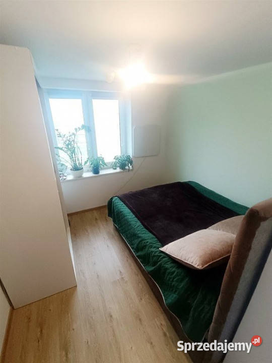 sprzedaży mieszkania 489 metrów 3 pokoje Osina 48.9m2