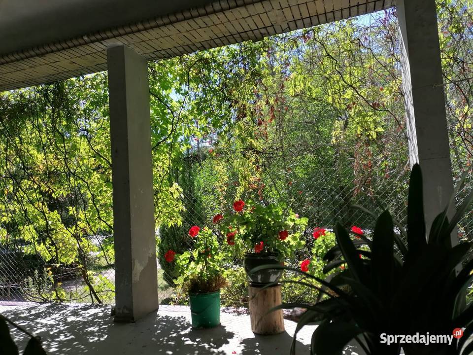 Sprzedam mieszkanie 56 m2 Warszawa Wesoła Plac mazowieckie