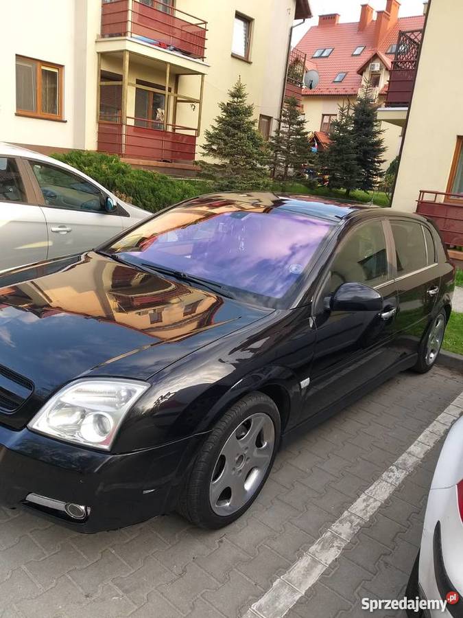 Opel Signum 20T z20net gazlpg doinwestowany autoalarm Rzeszów sprzedam