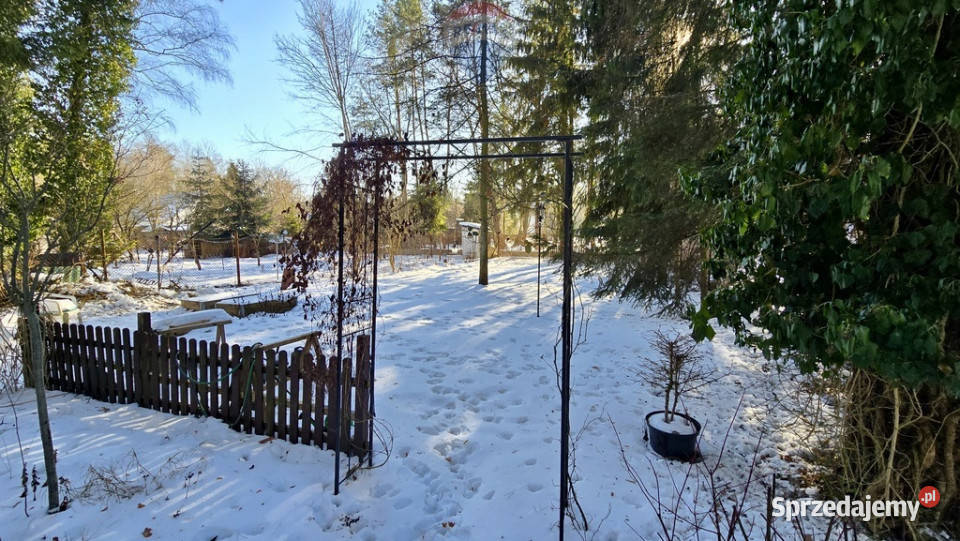 Działka zabudowana Zalesie Górne Kwiat Paproci siatka