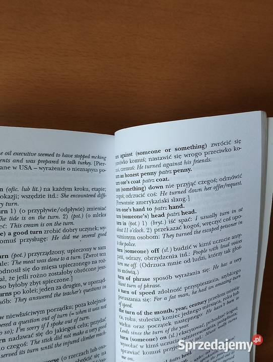 SŁOWNIK idiomów angielskich Philip Wilson Złotniki