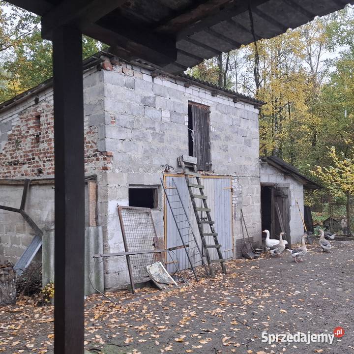 Syndyk sprzeda nieruchomość gruntową zabudowaną