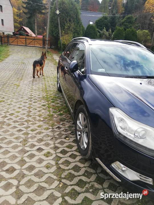 Citroen C5 x7 Lift Led małopolskie Tarnawa Górna sprzedam