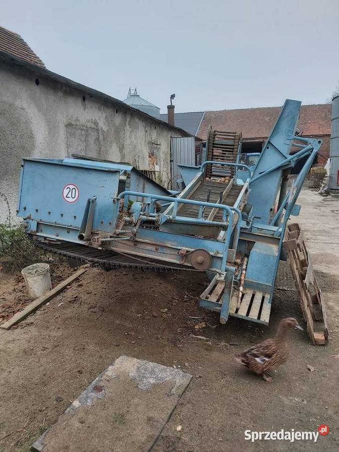 Kombajn Bolko posiada też przystawkę do cebuli Nielubia
