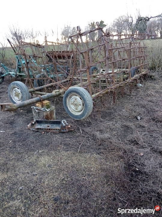 Sprzedam duże Brony