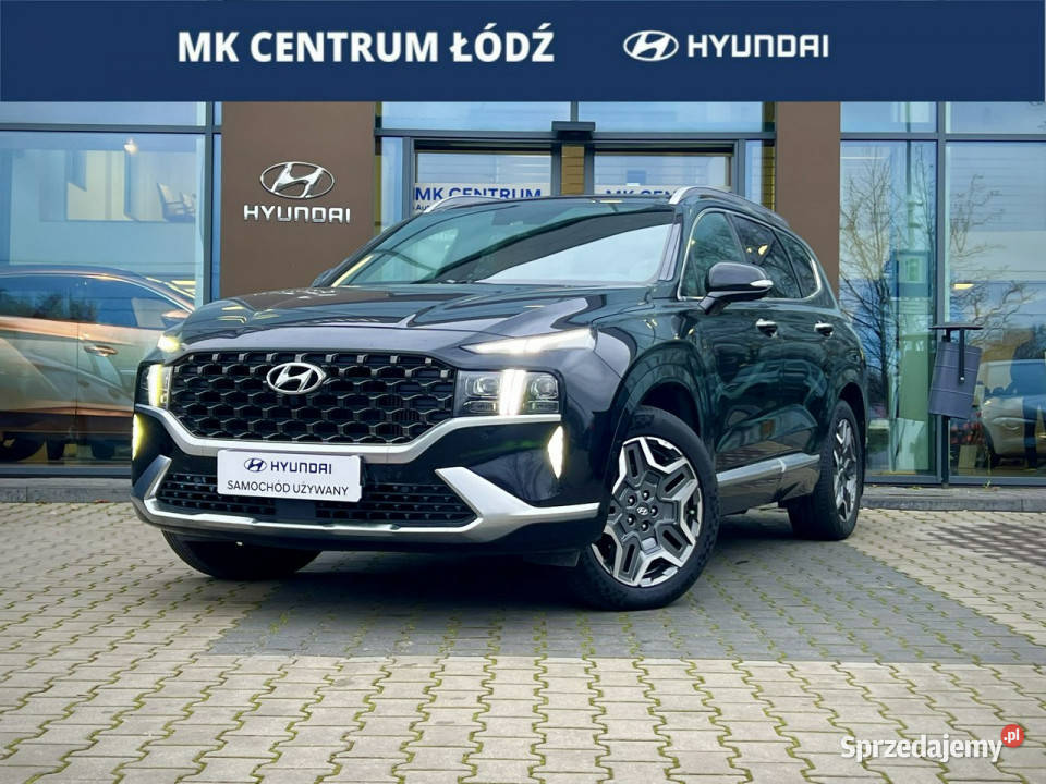 Hyundai Santa Fe 16TGDi PHEV 4WD 265 Platinum elektryczne lusterka