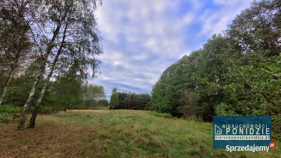 Działka rekreacyjna Łatanice kBuskaZdroju sprzedam