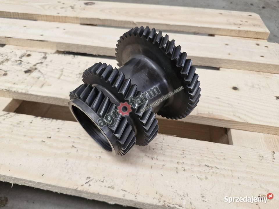 Koło zębate Fiat F100 F110 F130 F140 Byków