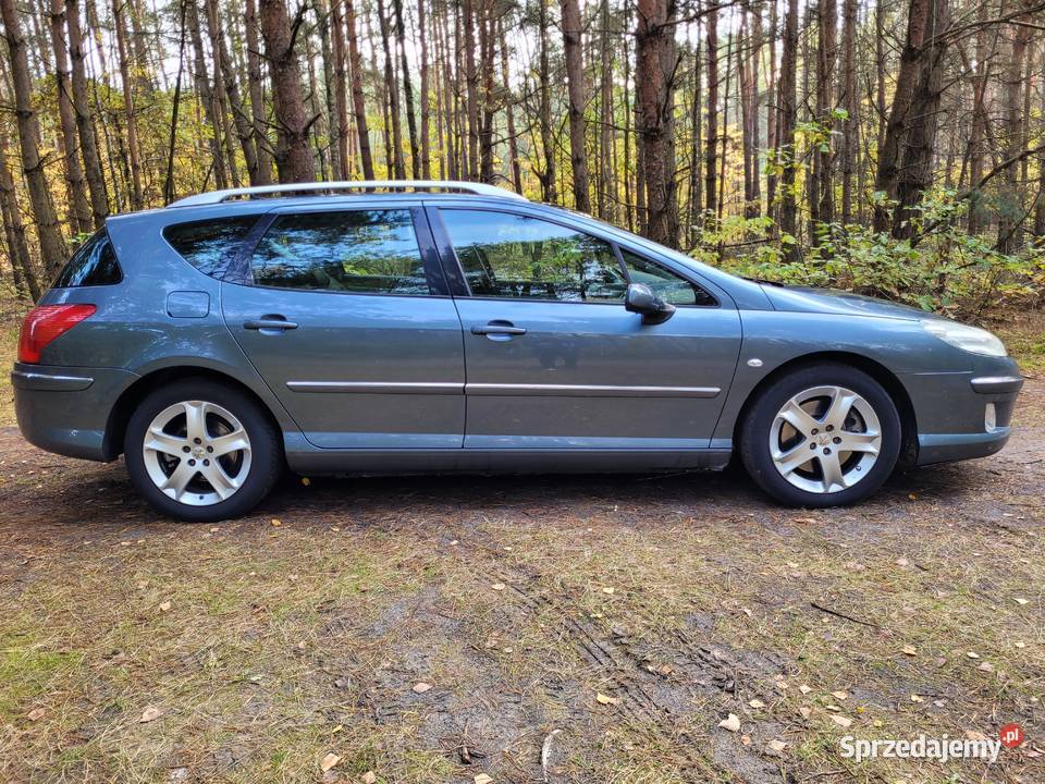 Peugeot 407 SW 2006 22 HDI 170 170KM Sobolew