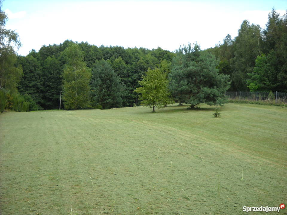 Działka budowlana z linią brzegową jeziora sprzedam